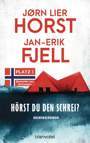 Cover: Hörst du den Schrei?