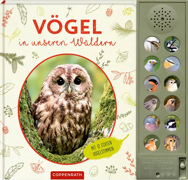 Cover: Vögel in unseren Wäldern