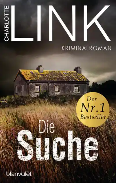 Cover: Die Suche