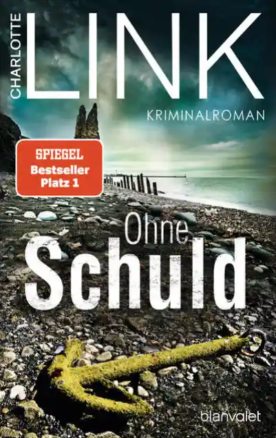 Cover: Ohne Schuld