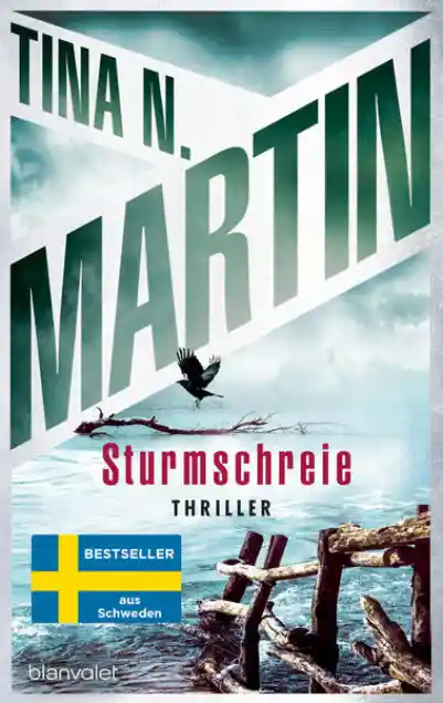 Cover: Sturmschreie Cover: Sturmschreie