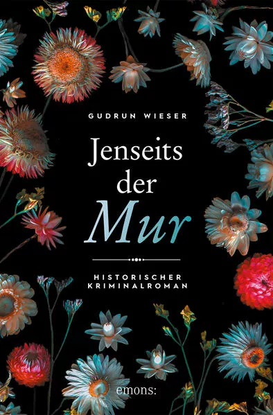 Cover: Jenseits der Mur