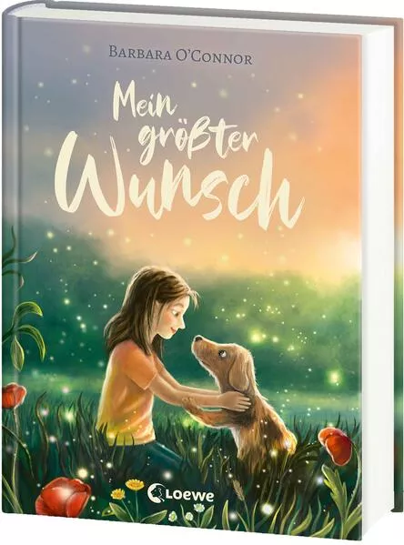 Cover: Mein größter Wunsch