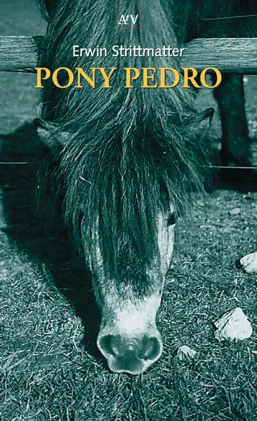 Pony Pedro
