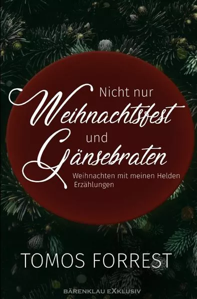Nicht nur Weihnachtsfest und Gänsebraten – Weihnachten mit meinen Helden