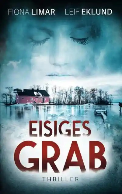 Schwedenthriller / Eisiges Grab