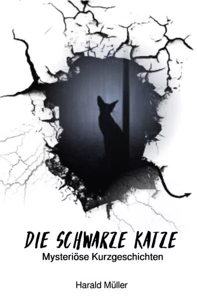 Die schwarze Katze - Mysteriöse Kurzgeschichten