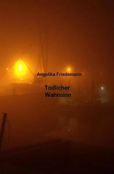 Daniel Briester / Tödlicher Wahnsinn