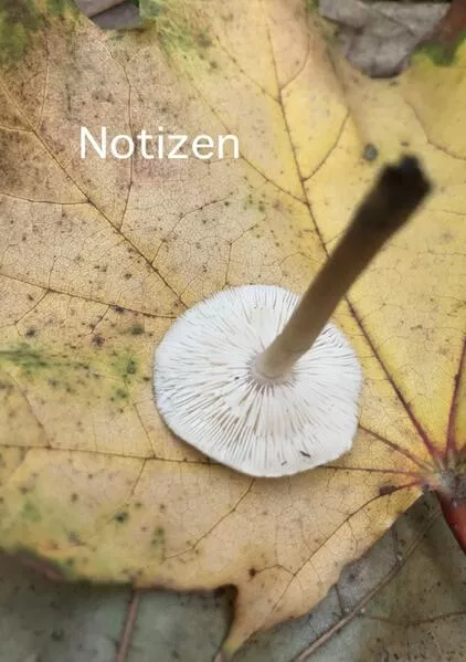 Notizen