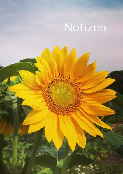 Notizen