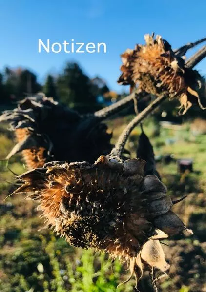 Notizen