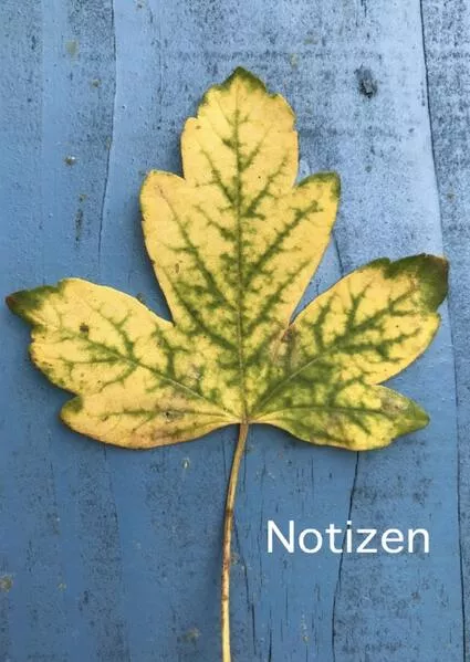 Notizen