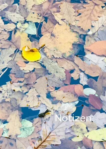 Notizen