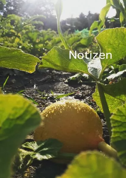 Notizen