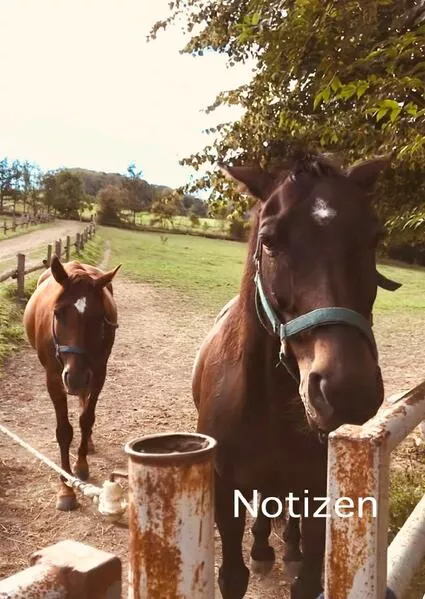Notizen