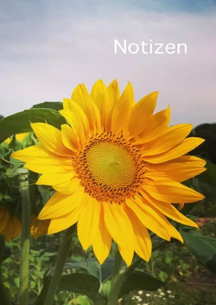 Notizen