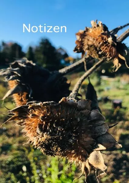 Notizen