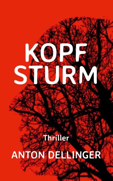 Kopfsturm