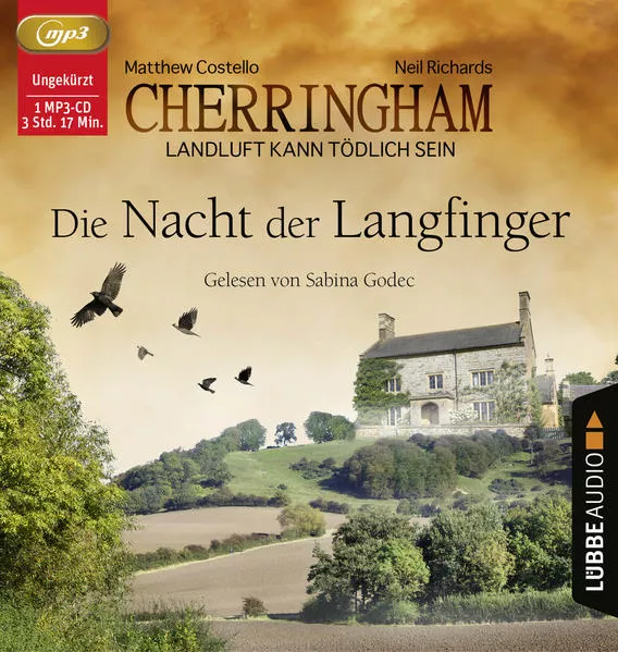 Cherringham - Die Nacht der Langfinger