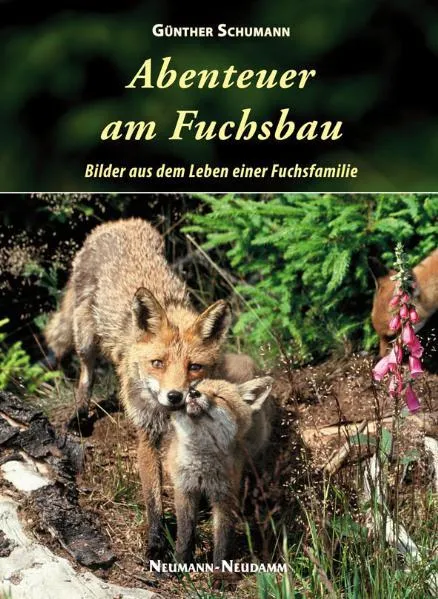 Abenteuer am Fuchsbau