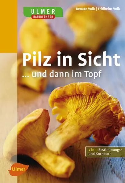 Pilz in Sicht ... und dann im Topf