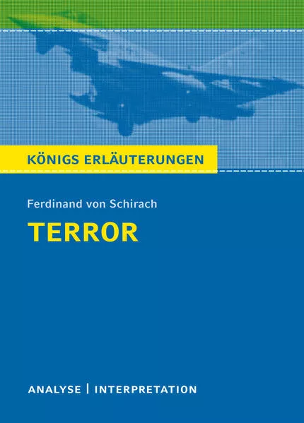 Cover: Terror von Ferdinand von Schirach.