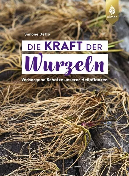 Die Kraft der Wurzeln