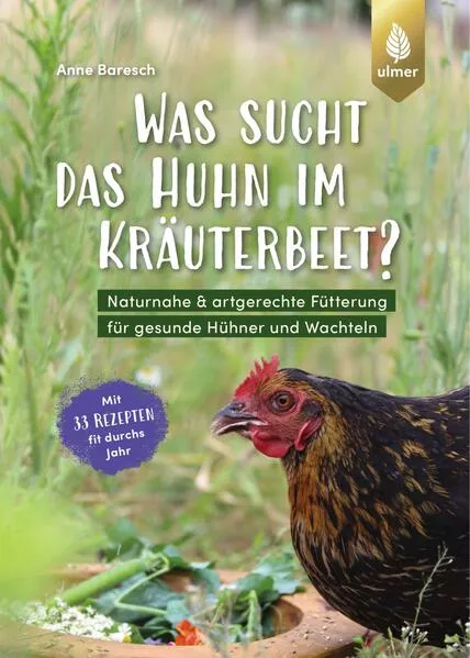 Was sucht das Huhn im Kräuterbeet?