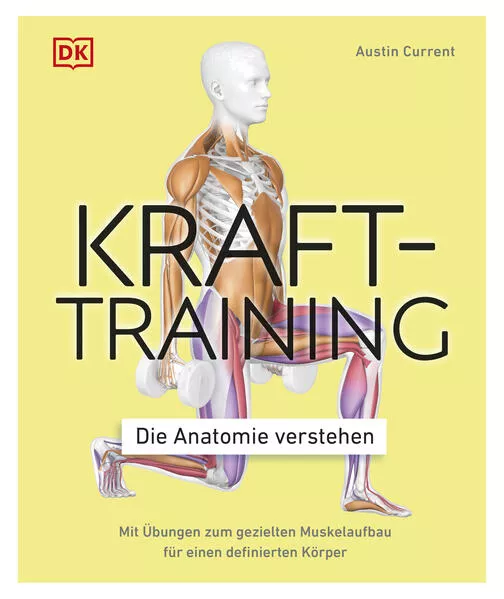 Krafttraining – Die Anatomie verstehen