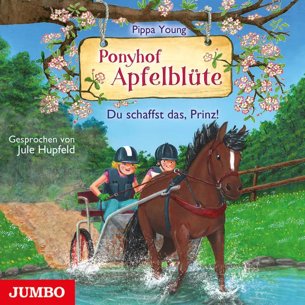 Ponyhof Apfelblüte. Du schaffst das, Prinz!