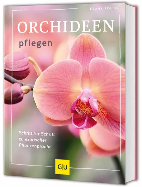 Cover: Orchideen pflegen