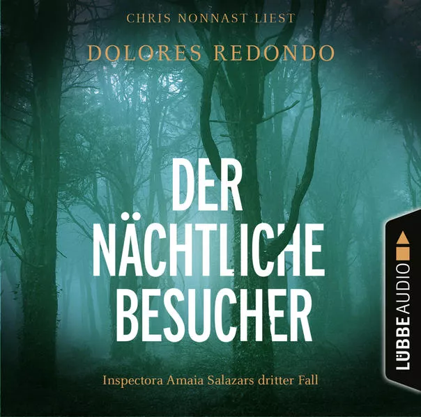 Der nächtliche Besucher