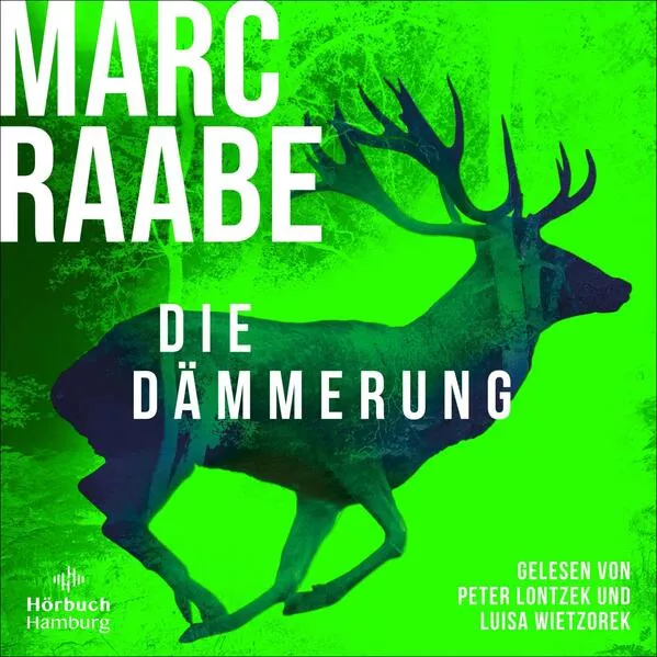 Cover: Die Dämmerung (Art Mayer-Serie 2)