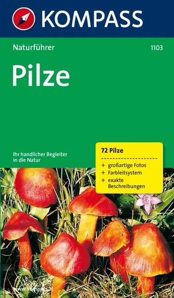 Pilze
