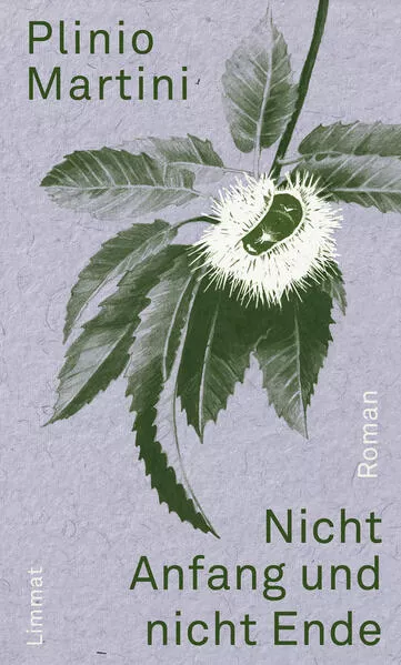 Cover: Nicht Anfang und nicht Ende