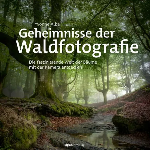 Geheimnisse der Waldfotografie