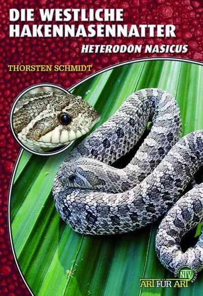 Die Westliche Hakennasennatter