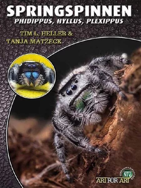 Springspinnen