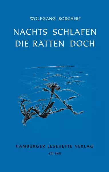 Cover: Nachts schlafen die Ratten doc