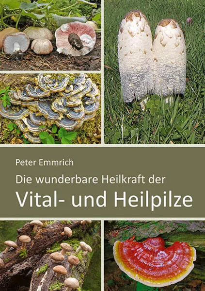 Die wunderbare Heilkraft der Vital- und Heilpilze