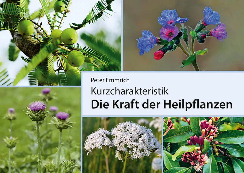 Die Kraft der Heilpflanzen