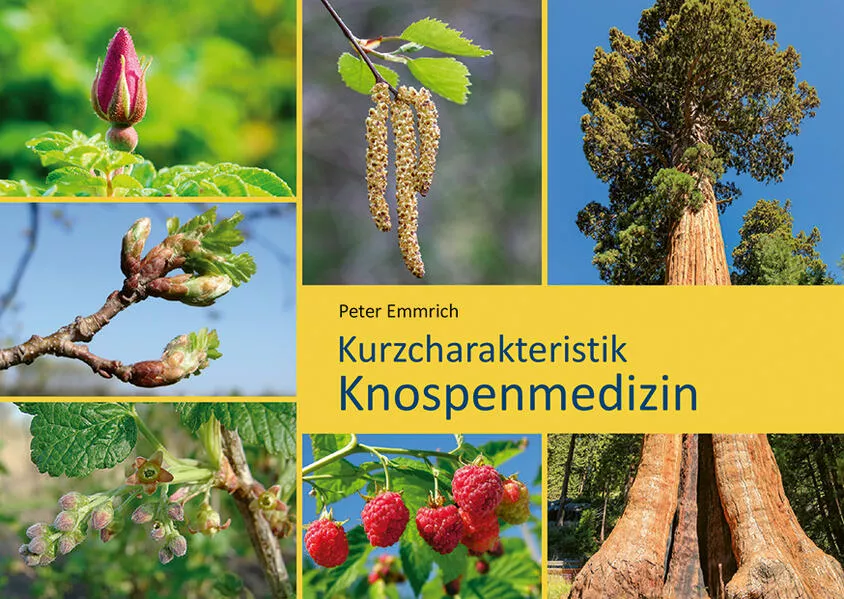 Knospenmedizin