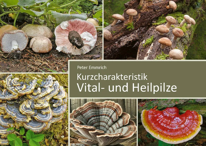 Vital- und Heilpilze