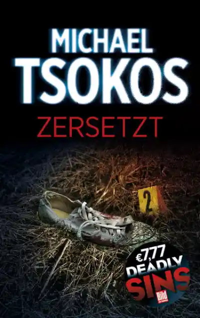 Cover: Zersetzt