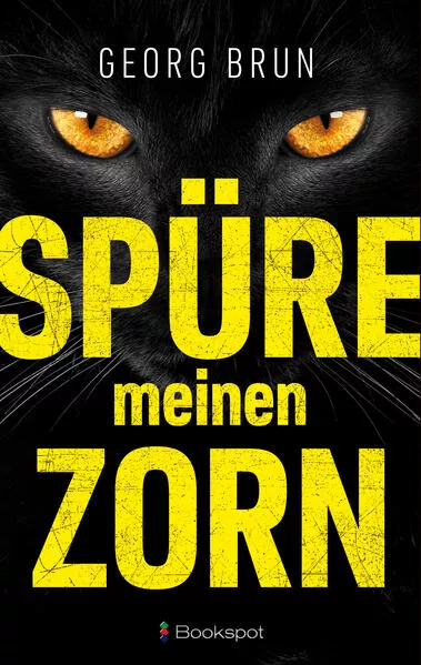 Cover: Spüre meinen Zorn
