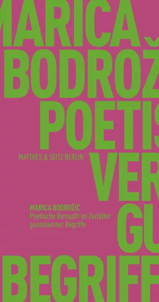 Poetische Vernunft im Zeitalter gusseiserner Begriffe