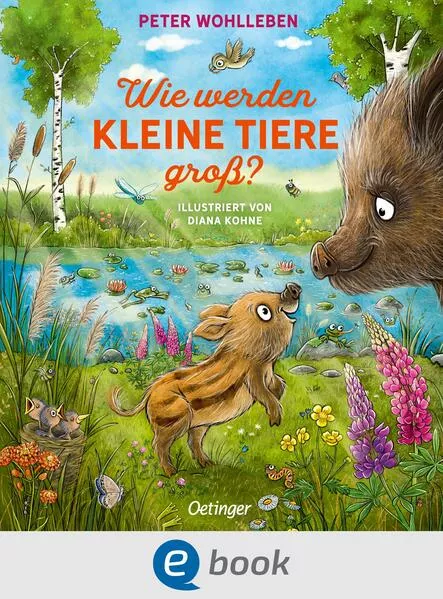 Cover: Wie werden kleine Tiere groß?