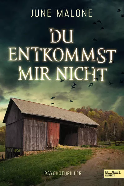Cover: Du entkommst mir nicht