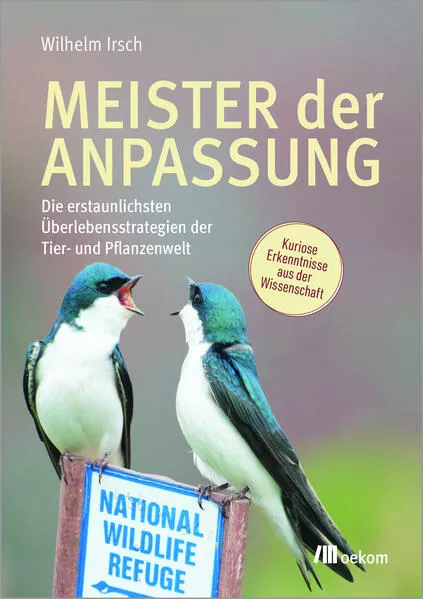 Meister der Anpassung