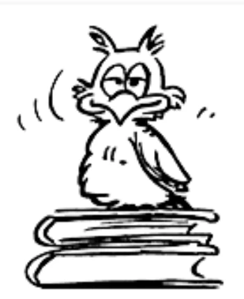 Logo: Buchhandlung Bornhofen